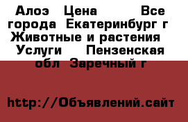 Алоэ › Цена ­ 150 - Все города, Екатеринбург г. Животные и растения » Услуги   . Пензенская обл.,Заречный г.